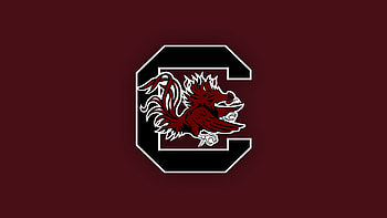 South Carolina Gamecocks, Vibrant , Team pride, Backgrounds HD wallpaper