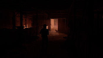The Farm (Ellie), Ellie (The Last of Us), The Last of Us Part II HD wallpaper