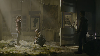 The Last Of Us (2023), TV Show, The Last Of Us HD wallpaper