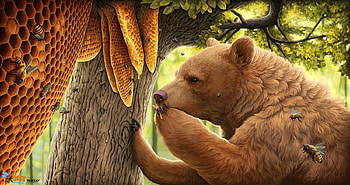 Sweet treat, albina, bear, urs, fantasy, bee, honey, marta sokolovska, insect HD wallpaper