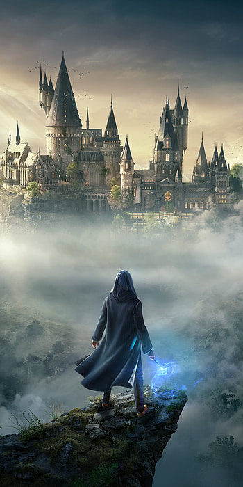 Harry Potter, video game HD phone wallpaper