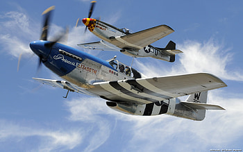 WILD MUSTANGS, 5, 1, p, d HD wallpaper