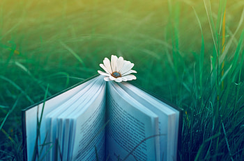 Nature, Grass, Flower, Miscellanea, Miscellaneous, Book, Mood HD wallpaper