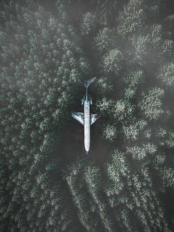 Airplane, forest, aerial view HD phone wallpaper