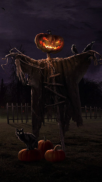 Pumpkin boy, halloween, trick or treat HD phone wallpaper