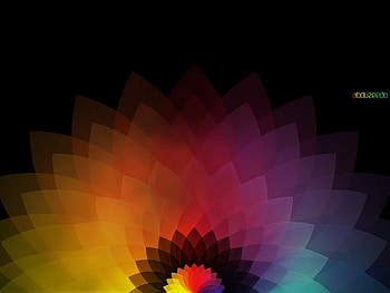 Flower Pixels, pixels, colours, 3d HD wallpaper
