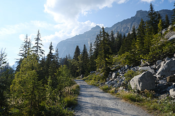 Landscape, Nature, Trees, Mountains, Road, Forest HD wallpaper