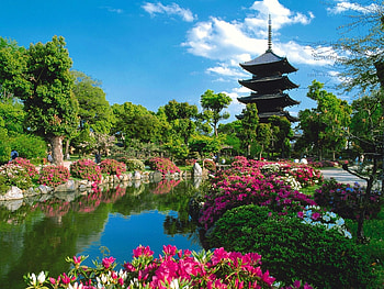 Plants, Landscape, Flowers, Rivers, Sky, Asia HD wallpaper