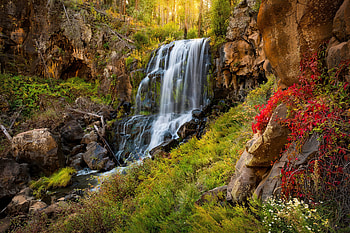 White mountains, white, trees, waterfall, beautiful, forest, rocks, mountain HD wallpaper