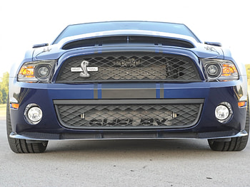 Ford Shelby GT500 Super Snake 2010, snake, ford, gt500, shelby, super, 2010 HD wallpaper