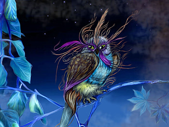 Fantasy, Night, Owl, Bird, Being, Creature, Pheasant HD wallpaper