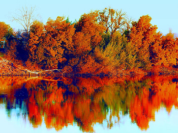 AUTUMN REFLECTION, reflection, landscape, trees, autumn, lake HD wallpaper