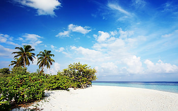 Nature's beaches, Coastal scenery, Tranquil shores, Sandy tranquility HD wallpaper