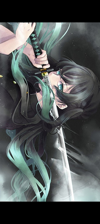 Muichiro, izkustvo, boy, anime HD phone wallpaper