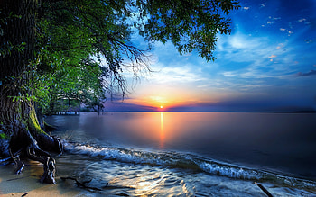 Nature Sea Sky Skyline Sun Tree, nature, trees, sun, skyline, sea, sky HD wallpaper