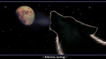 moon song, darkness, song, wolf, moon HD wallpaper