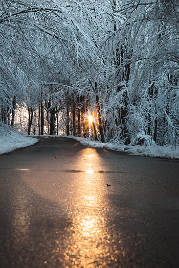 Winter, Nature, Sun, Snow, Road HD phone wallpaper