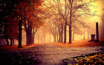 Path HD wallpaper