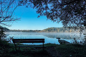 Landscape, Nature, Trees, Lake, Bench HD wallpaper