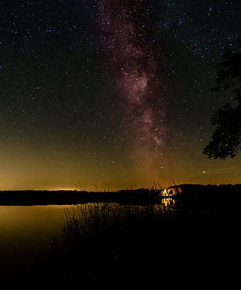 Nature, Grass, Night, Lake, Starry Sky, Milky Way HD phone wallpaper