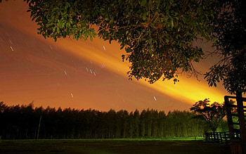 RAINY NIGHT, night, rain, field, fence, nature HD wallpaper