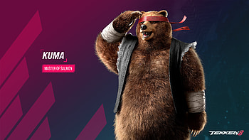 Tekken 8 Kuma - Master of Salmon, video game, Tekken 8 HD wallpaper