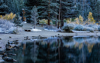 Nature, Rivers, Trees, Lake, Shore, Bank, Forest, Table HD wallpaper