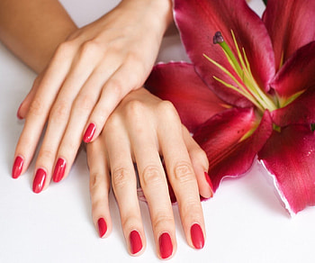Hands, soft, abstract, flower HD wallpaper