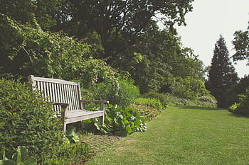 A serene garden scene featuring a wooden bench surrounded by vibrant greenery and trees. HD wallpaper