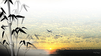 Oriental Sunrise, birds, art, firefox persona, bamboo, sunrise, paint, sky, water, sun HD wallpaper