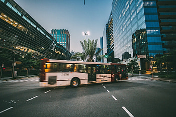 City Bus, City, Traffic, Transport, Buildings, Bus HD wallpaper