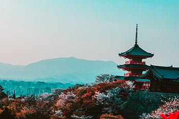 Scenic view of Kiyomizu-dera Temple with cherry blossoms in Kyoto, Japan, capturing traditional Japanese architecture at twilight. HD wallpaper