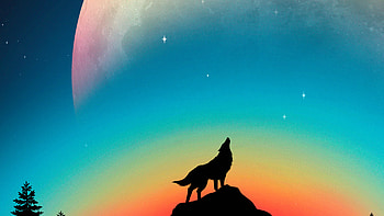 Wolf Howling Minimal , wolf, minimalism, minimalist, artist, artwork, digital-art HD wallpaper