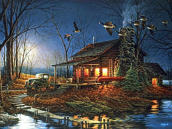 night sky, ducks, moon, lake, cabin HD wallpaper