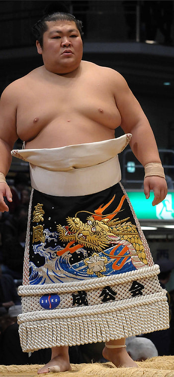 Sumo HD phone wallpaper