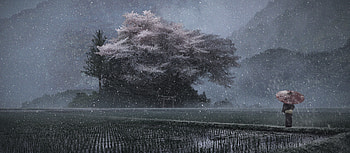 Anime Landscape: Serene Snowfall in Mystic Forest, Anime, landscape, anime landscape HD wallpaper