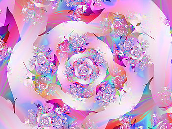 first rose .jpg, rose, colorful, fun HD wallpaper