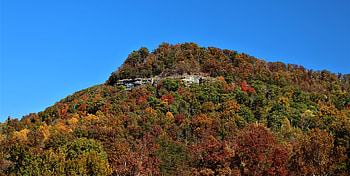 Owsley Fork Reservoir, foliage, nature, fall HD wallpaper
