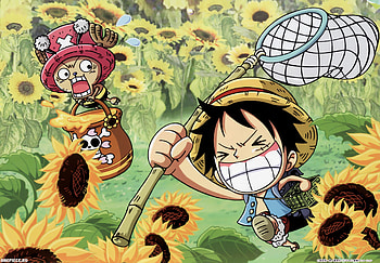 Funny One Piece HD wallpaper
