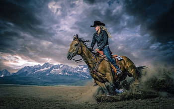 Equitation sports, Horse riding, , Background HD wallpaper