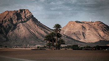 Oasis, Deserts HD wallpaper
