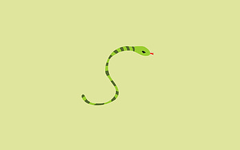 Background, Lines, Minimalism, Snake HD wallpaper