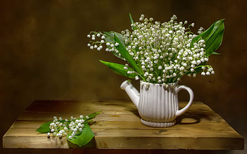 Lilies of Valley, still life, white, flowers HD wallpaper