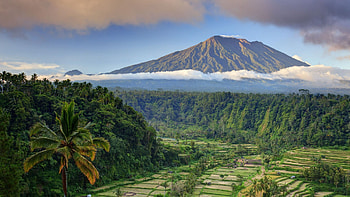 Ubud rice terraces, Bali , Tranquil landscapes, Natural wonders HD wallpaper