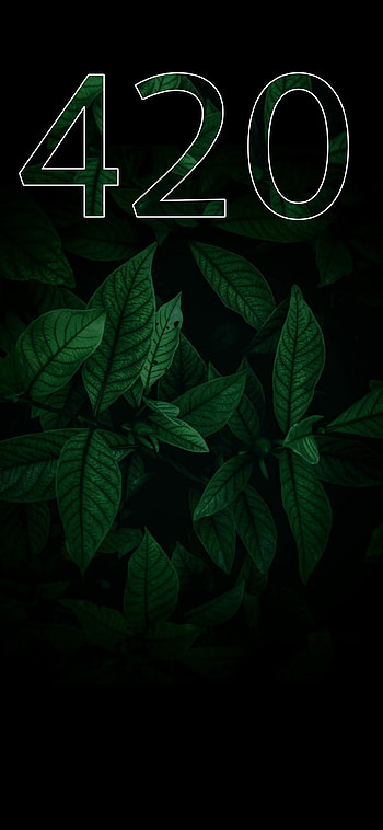 420 Leaves, black_green, high, green, textured, background, black, dark HD phone wallpaper
