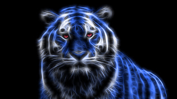 Neon tiger - HD wallpaper