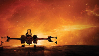 Patty Jenkins, Rogue Squadron , Fan favorites, Top choices HD wallpaper