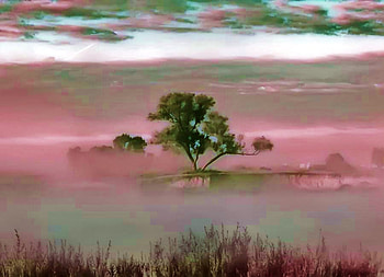 Pink distortion, grey and pink, reflection, sky, water plants, misty, distortion, tree HD wallpaper
