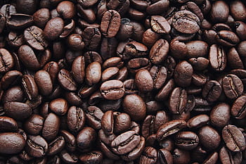 A detailed view of aromatic roasted Arabica coffee beans, highlighting texture and brown color. HD wallpaper