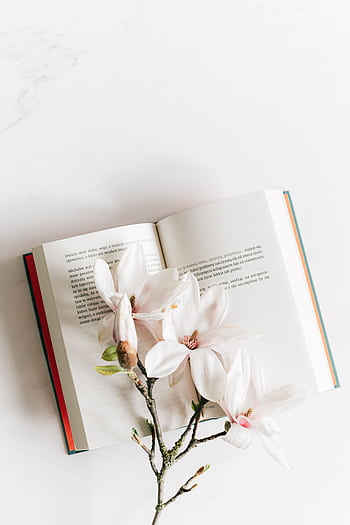 An open book with soft white magnolia flowers on a marble surface, evoking a serene and elegant ambiance. HD phone wallpaper
